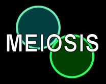 meiosislogo-2014.png
