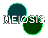 meiosislogo-20141.png